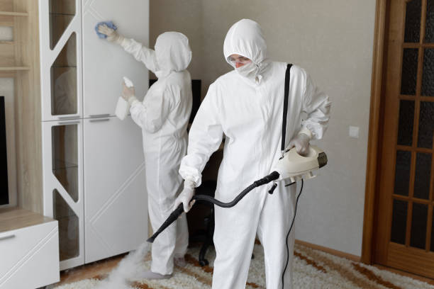 Mold Testing and Removal in Basye, VA