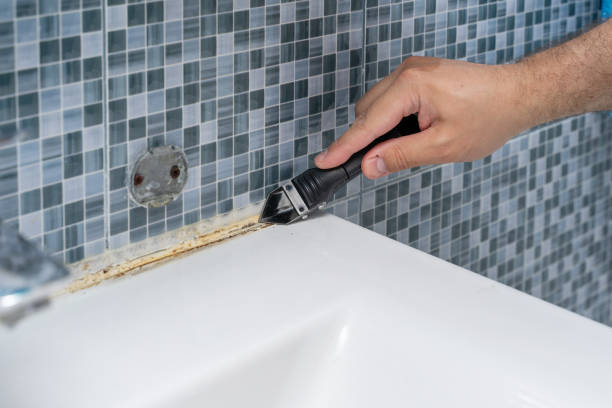 Best Home Mold Removal  in Basye, VA