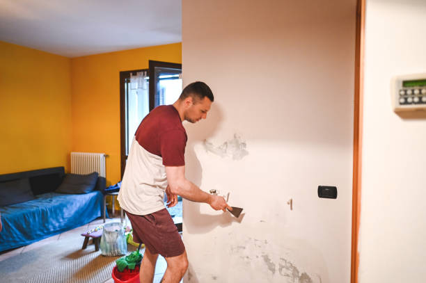 Best Professional Mold Removal  in Basye, VA